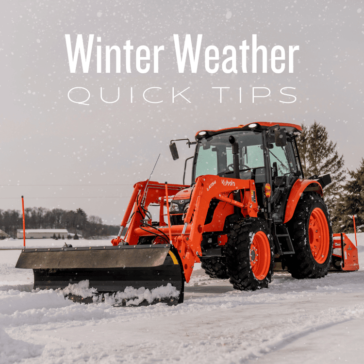 Winter Weather Quick Tips ❄️